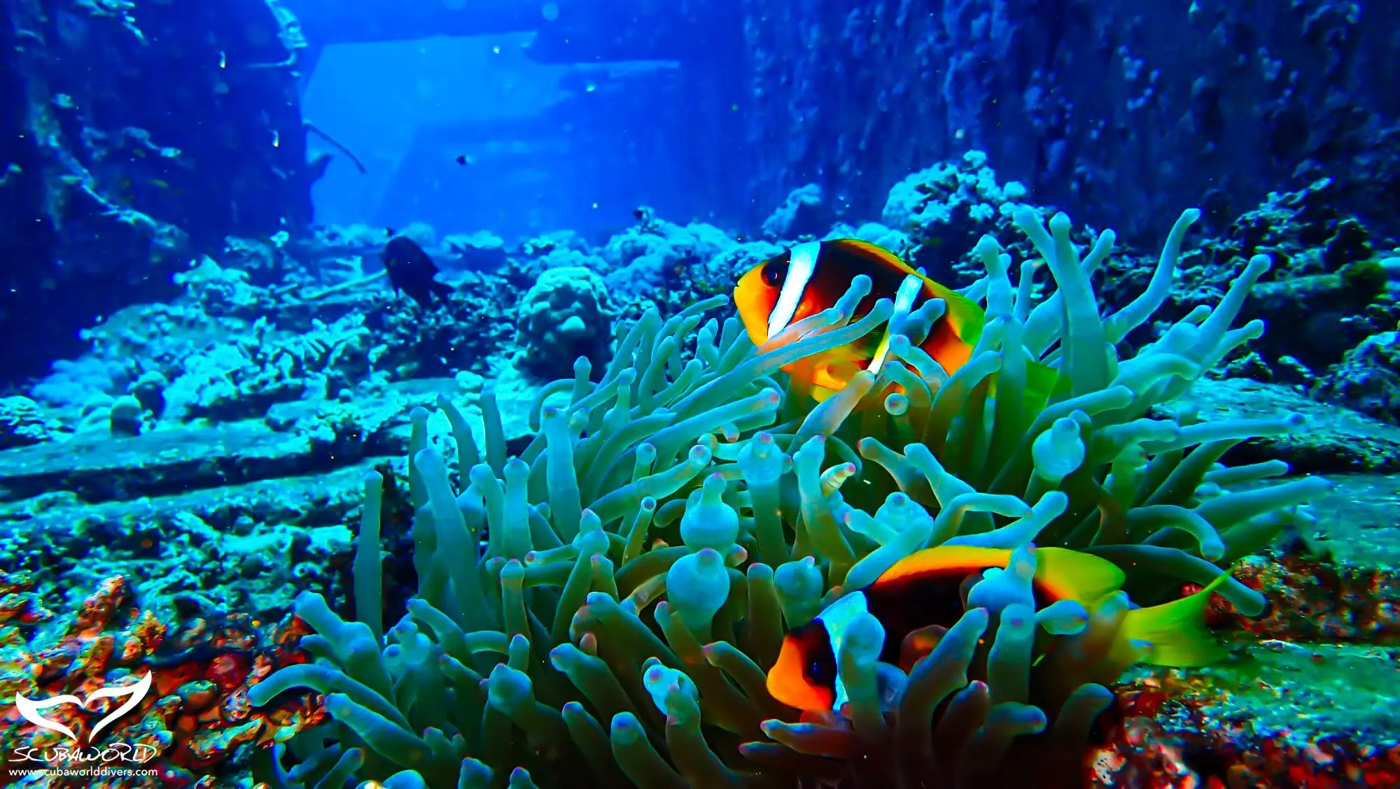 1334F23D0467BE821C4A1B962D989C9A